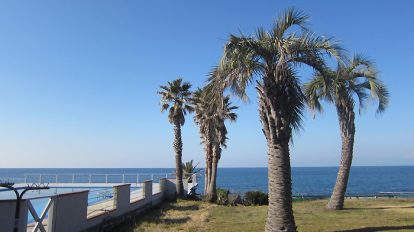 1896_fromeditors | 目の前は相模湾。海の向こうには富士山がうっすらと…。