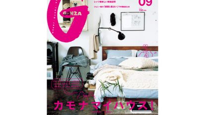 gz207-fe1-tp