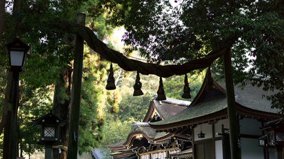 cr893_nara_thumb