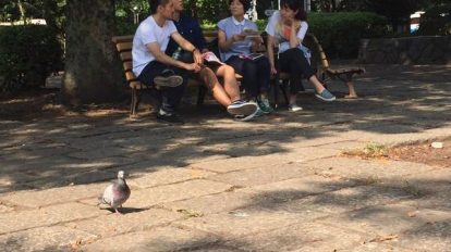 マネージャーさんが撮影してくれた、取材中の1枚。「鳩がいい感じ」と無駄に盛り上がりました。