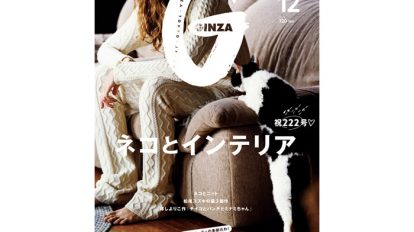 gz222-fe1-tp