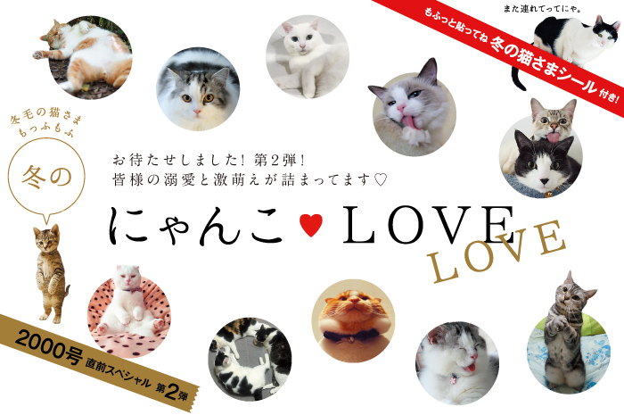 anan No. 1991 | anan | マガジンワールド