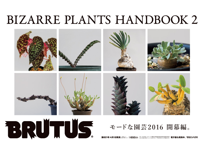 熱帯有用植物誌 覆刻版 1977 10 熱帯有用植物誌 覆刻版 1977 10