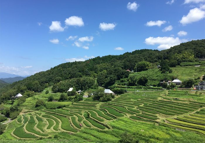 47都道府県『全国、心地いいビールスポット』特集始まりました！