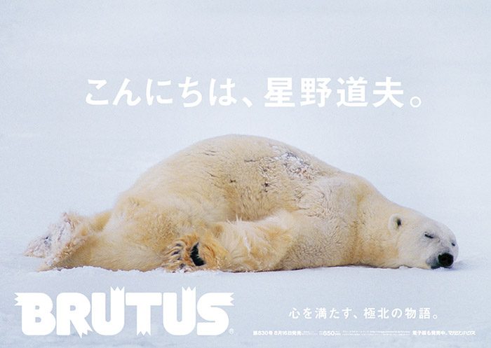 雑誌ブルータス　写真　星野道夫