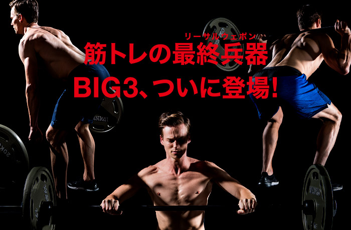ウエイトトレーニング Jagwer David 楽天市場】LE-GEAR パワーリフティングベルト パワーベルト