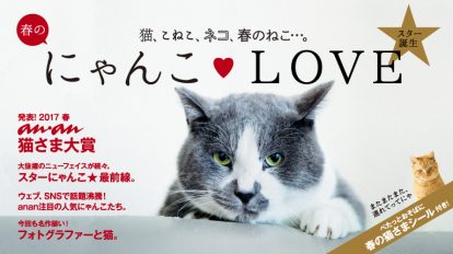 anan2052号：春のにゃんこ♥LOVE