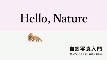 BRUTUS 853号：自然写真入門