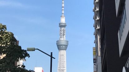 Hanako 1139号：from editors