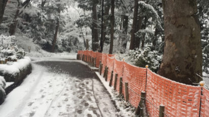 Hanako 1151号：from editors | 取材時がやたらと寒いのも「吉祥寺特集あるある」のひとつ…。春はすぐそこです。