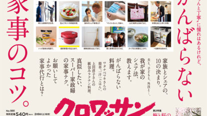 cro991-top