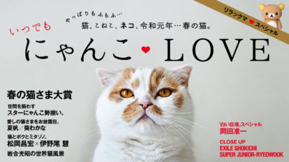 anan 2150号：いつでも にゃんこLOVE