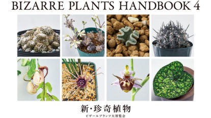 BRUTUS 896号：新・珍奇植物