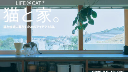 casa235-top2