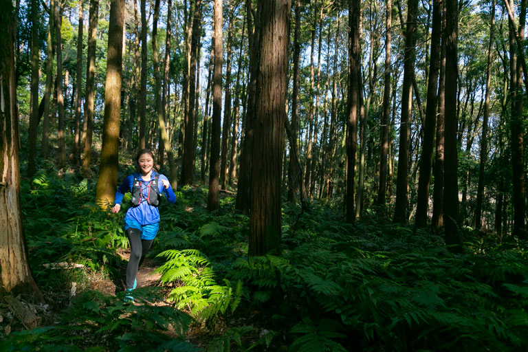 Tarzan Trails GPSデータ［横浜自然公園］トレイル　NO.782