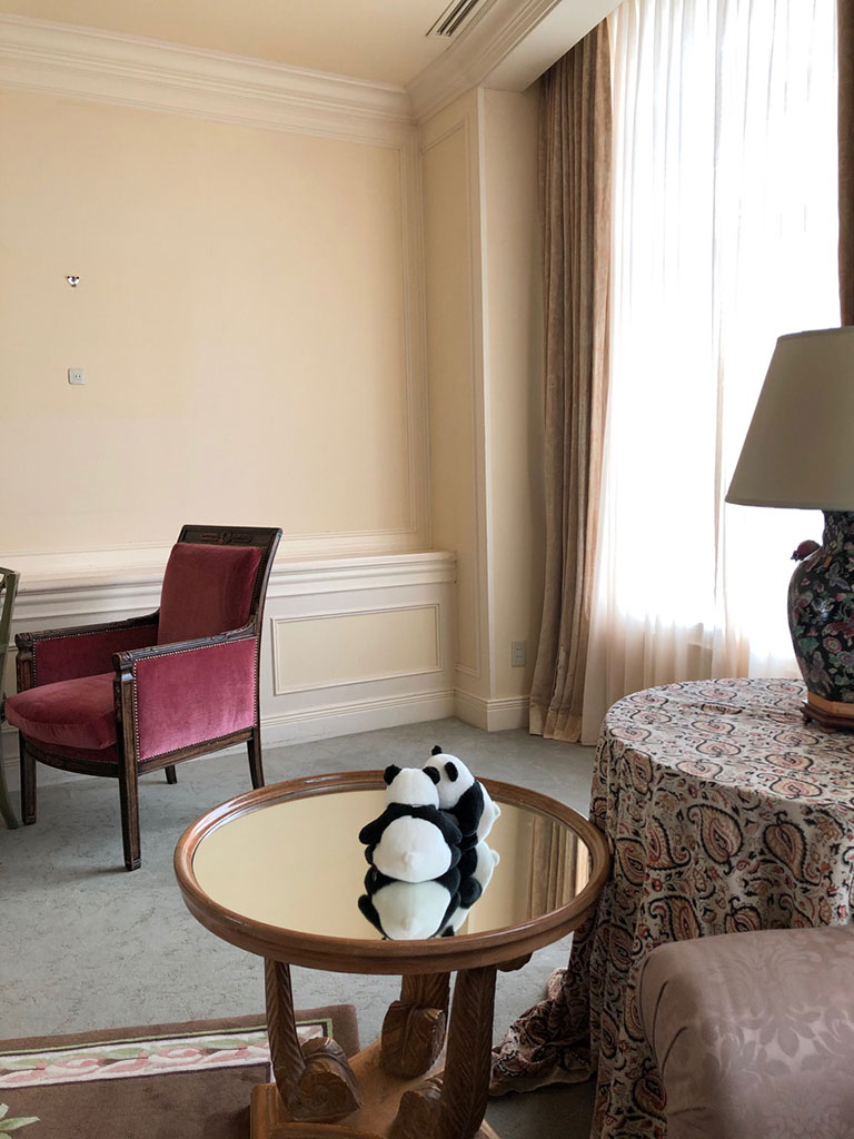 ホテルのスイートルームでの撮影に緊張気味のアンアンパンダの姿も。