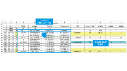 フィットネス・ファティーグ理論エクセルシート