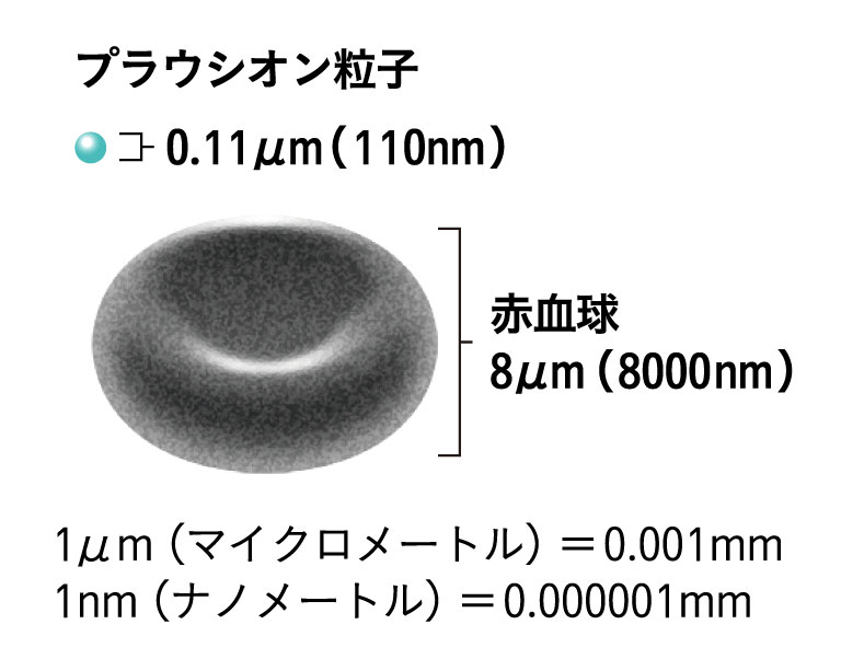 プラウシオン粒子（イメージ）:0.11μm（110nm）、赤血球（イメージ）:8μ（8000nm）　1μm（マイクロメートル）＝0.001mm、1nm（ナノメートル）＝0.000001mm
