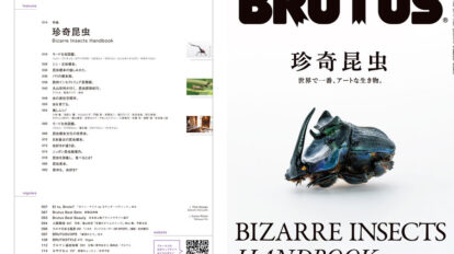 brutus-952-00