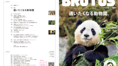 brutus-980-00