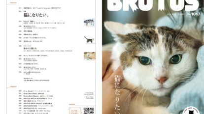 brutus-1017-00