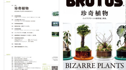 brutus-1030-00