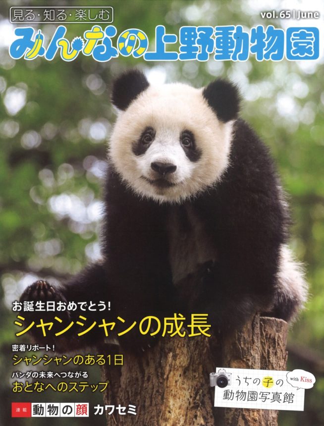 みんなの上野動物園 vol.65（ジャイアントパンダ）