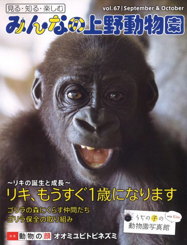 みんなの上野動物園 vol.67（ニシゴリラ）