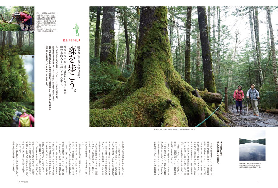YUCARI vol.15 日本の森』 — マガジンハウス 編 — マガジン